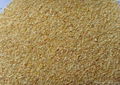 Dehydrated Garlic  Granule 1