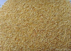 Dehydrated Garlic  Granule