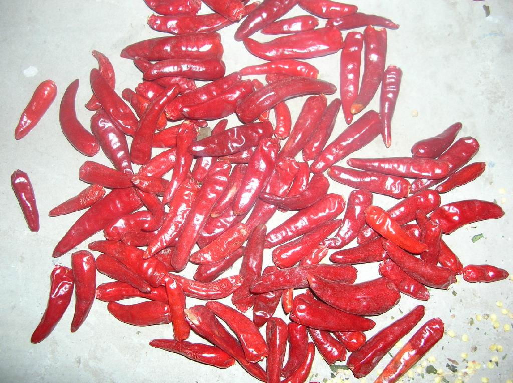 Red Chilli Hot Red Pepper