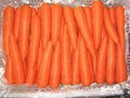 Fresh Carrot  1