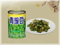 Sell Canned Green   peas 1