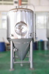 Mini Brewery Small Fermenting Equipment