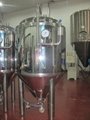 Mini Brewery Small Fermenting Equipment 2