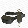 Remote Control Training Dog Collar