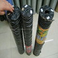 Hexagonal wire netting