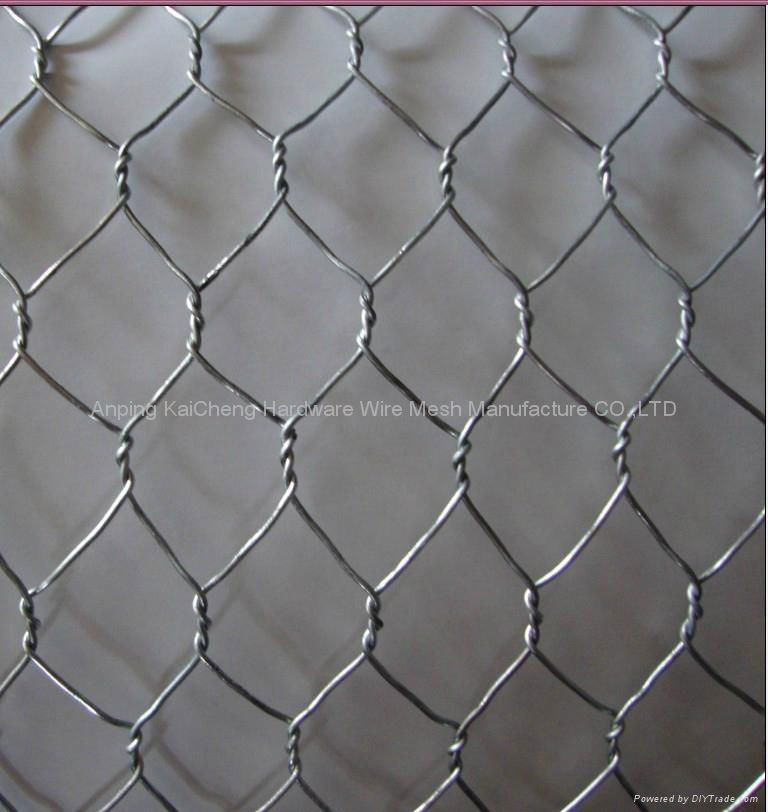 Hexagonal wire netting 2