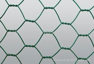 heavy hexagonal wire netting