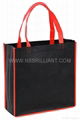 NON WOVEN BAG