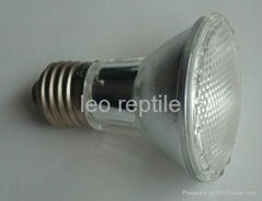 leoreptile halogen lamp