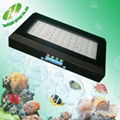 it2080 marine aquarium led lighting with auto controller system 120w dimmable le