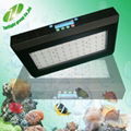 120W LED coral reef aquarium Light diy led aquarium light epistar led aquarium r 2