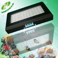 120W LED coral reef aquarium Light diy led aquarium light epistar led aquarium r 3