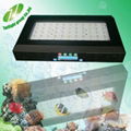 120W LED coral reef aquarium Light diy led aquarium light epistar led aquarium r 4