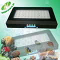 120W LED coral reef aquarium Light diy led aquarium light epistar led aquarium r 5