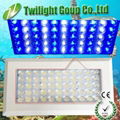 best price aquarium led lighting for coral reef and fish tank 3