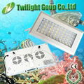 best price aquarium led lighting for coral reef and fish tank 4