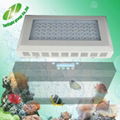  LED coral reef light dimmable Apollo LED Aquarium Light 120w