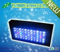 welcomed top class led aquarium lighting australia with sunrise sunset simulatio 2