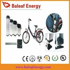 Electric Bicycle 24V 20Ah Lithium-ion Battery Pack