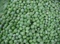 Frozen Green Peas 1