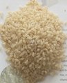 營養大米加工設備 5
