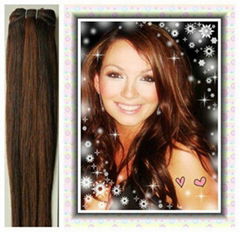 suppler for high quality brazilian human hair weft