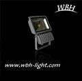 LED Flood Light