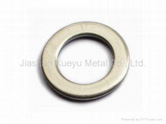 Steel Flat Washer USS