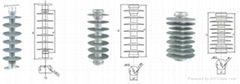 Composite insulator for high voltage     ir line