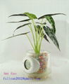 flowerpot clock （quartz or digtal）