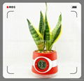 flowerpot clock （quartz or digtal）