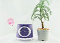 flowerpot clock （quartz or digtal） 3