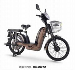 LOADING TYPE ELECTRIC BICYCLE