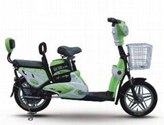 Electric Bicycle