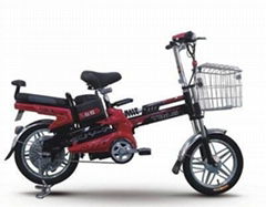 Electric Bicycle