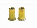 CSK head insert nuts M3 M4 M5 M6 M8 M10