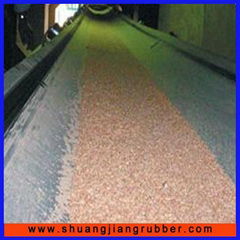 Oil resistant  conveyor belt 