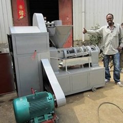 Palm Kernel Oil Expeller with Filters