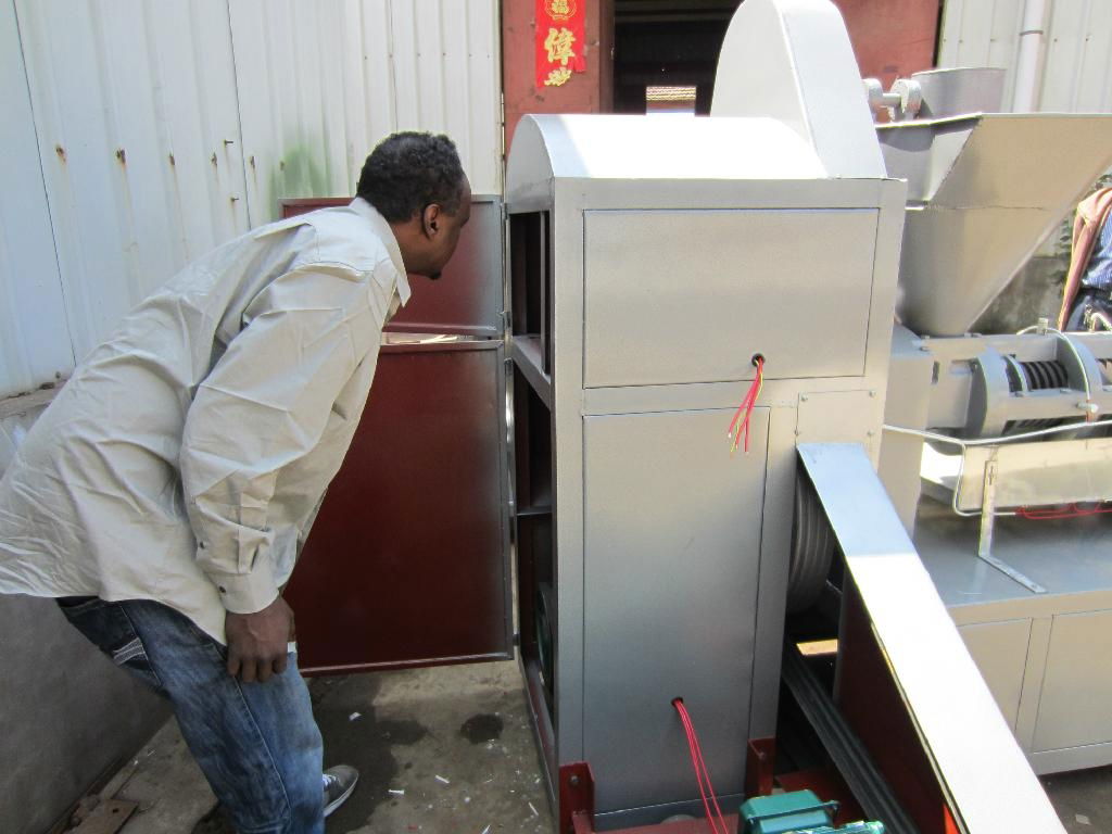 Palm Kernel Oil Expeller with Filters 3
