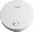 smoke alarm 1