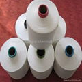 Polyester Nylon Blended Yarn