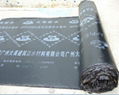 SBS modified bitumen waterproof membrane