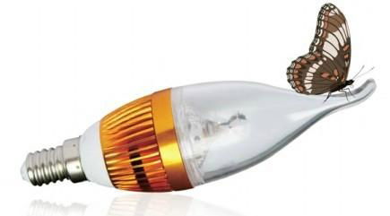 LED Bulb light 4