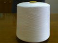 T40s/1 virgin yarn 100%T terylene component