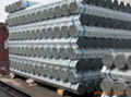 hot dipped galvanized steel pipe 1