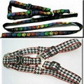 pet collar and leashes 1