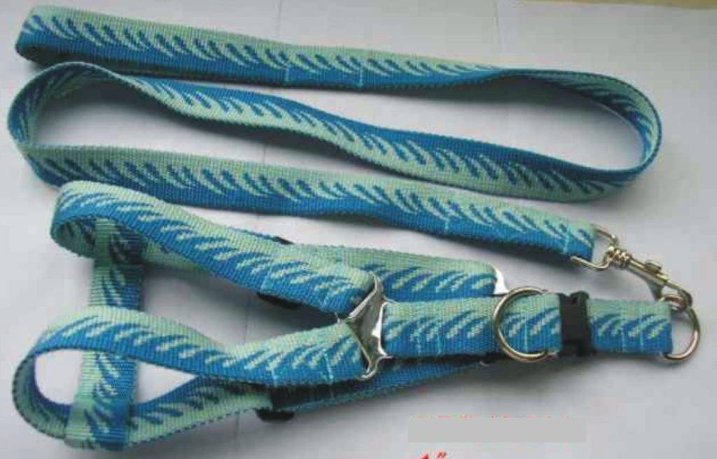 pet collar and leashes 4