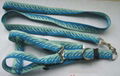 pet collar and leashes 4