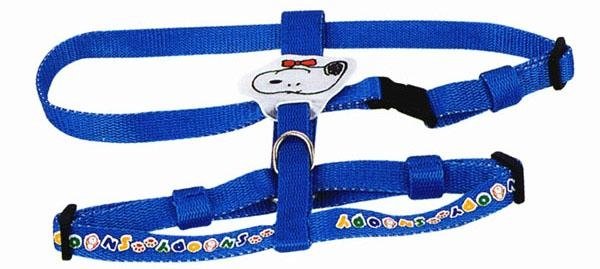 pet collar and leashes 5