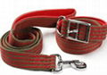 pet leashes 2